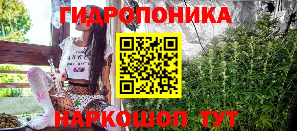 Шишки марихуана ГИДРОПОН Лянтор